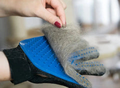 Anti-Hair Grooming Glove for Pets Bargain Buzz