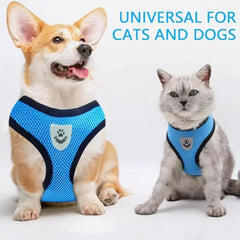 Cat Dog Pet Harness Adjustable Control Vest Dogs Reflective S M L XL Leash Bargain Buzz