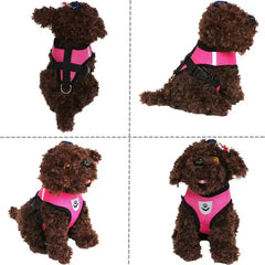 Cat Dog Pet Harness Adjustable Control Vest Dogs Reflective S M L XL Leash Bargain Buzz