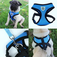 Cat Dog Pet Harness Adjustable Control Vest Dogs Reflective S M L XL Leash Bargain Buzz