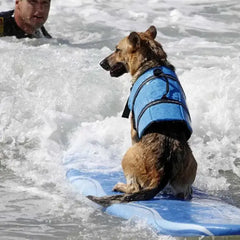 Cute & Colorful Premium Dog Life Vests Bargain Buzz