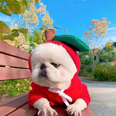 Cute Fruit Dog Hoodies: Winter Warm Fleece Pet Clothing for Small Dogs