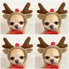 Cute Fruit Dog Hoodies: Winter Warm Fleece Pet Clothing for Small Dogs