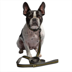 Dark Camo Dog Leash Bargain Buzz