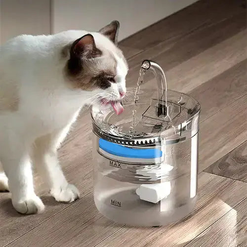 Drinking Bowl Auto Drinking Filter for Pets Bargain Buzz