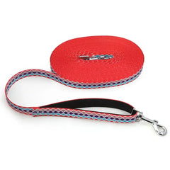 Durable Nylon Dog Leash with Padded Handle – 2.0cm Width, Ideal for Training Bargain Buzz