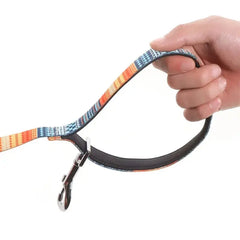 Durable Nylon Dog Leash with Padded Handle – 2.0cm Width, Ideal for Training Bargain Buzz