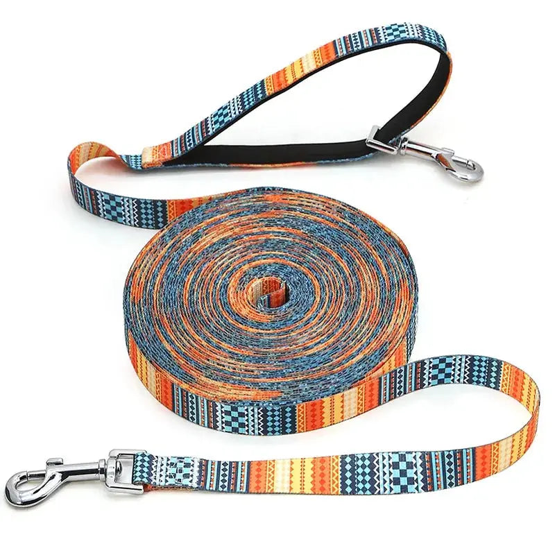 Durable Nylon Dog Leash with Padded Handle – 2.0cm Width, Ideal for Training Bargain Buzz