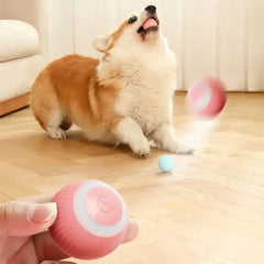 Electric Smart Ball Toys for Pets Bargain Buzz