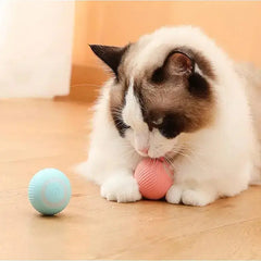 Electric Smart Ball Toys for Pets Bargain Buzz