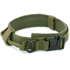 Elevate Your Dog's Style and Safety with Our Tactical Dog Collar Bargain Buzz