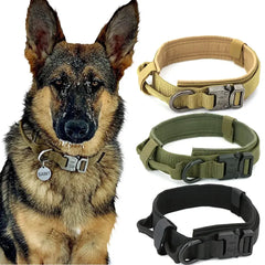 Elevate Your Dog's Style and Safety with Our Tactical Dog Collar Bargain Buzz