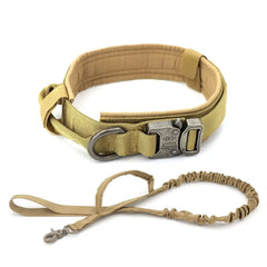 Elevate Your Dog's Style and Safety with Our Tactical Dog Collar Bargain Buzz