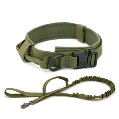 Elevate Your Dog's Style and Safety with Our Tactical Dog Collar Bargain Buzz