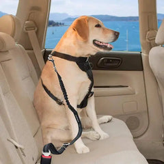 Ensure Your Dog's Safety with Our Dog Seat Belt Bargain Buzz