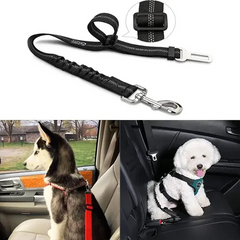 Ensure Your Dog's Safety with Our Dog Seat Belt Bargain Buzz