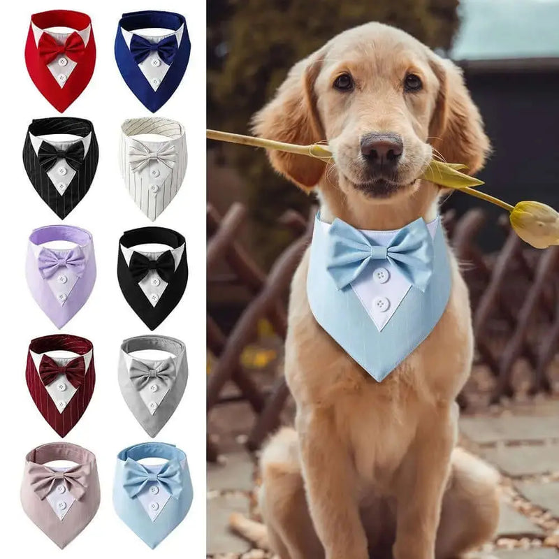 Fashionable Tuxedo Bow Tie For Pets Bargain Buzz