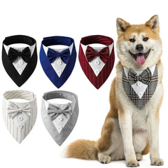 Fashionable Tuxedo Bow Tie For Pets Bargain Buzz