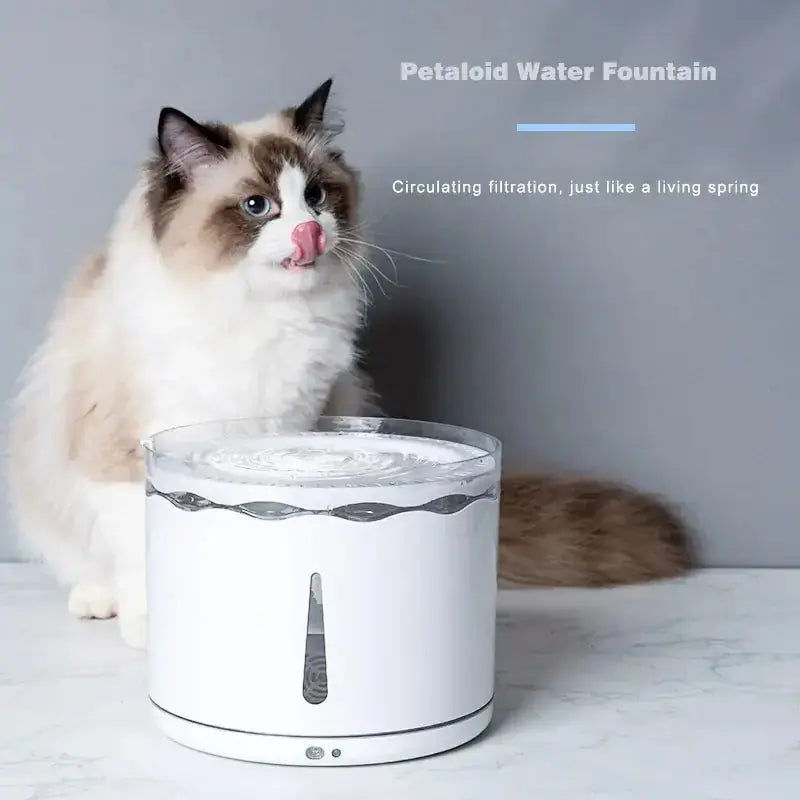 Five Layer Water Dispenser For Pets Bargain Buzz