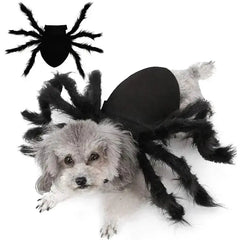 Halloween Spider Costume for Pets Bargain Buzz