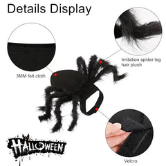 Halloween Spider Costume for Pets Bargain Buzz