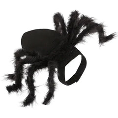 Halloween Spider Costume for Pets Bargain Buzz