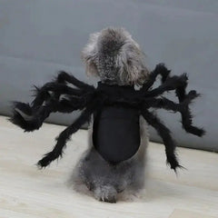 Halloween Spider Costume for Pets Bargain Buzz