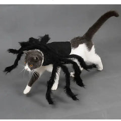 Halloween Spider Costume for Pets Bargain Buzz