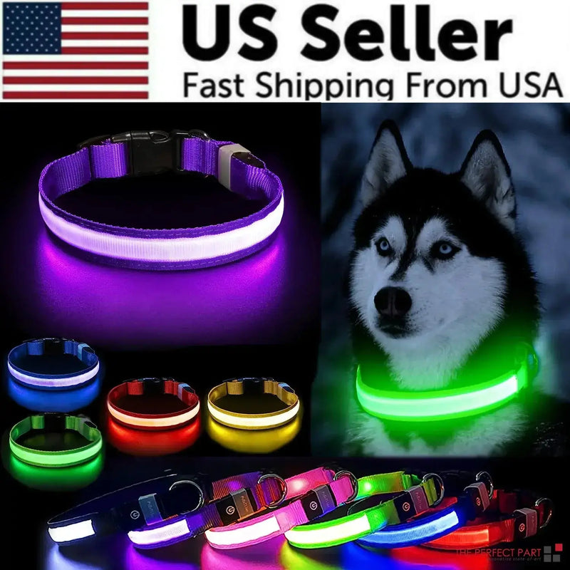 LED Adjustable Dog Collar Blinking Flashing Light Up Glow Pets Safety Waterproof Bargain Buzz