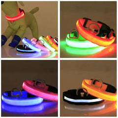 LED Adjustable Dog Collar Blinking Flashing Light Up Glow Pets Safety Waterproof Bargain Buzz