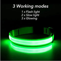 LED Adjustable Dog Collar Blinking Flashing Light Up Glow Pets Safety Waterproof Bargain Buzz