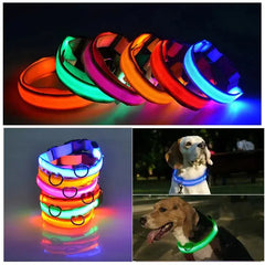 LED Adjustable Dog Collar Blinking Flashing Light Up Glow Pets Safety Waterproof Bargain Buzz