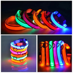 LED Adjustable Dog Collar Blinking Flashing Light Up Glow Pets Safety Waterproof Bargain Buzz