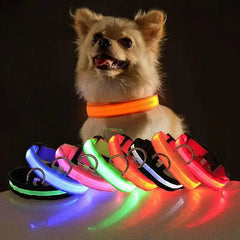 LED Adjustable Dog Collar Blinking Flashing Light Up Glow Pets Safety Waterproof Bargain Buzz