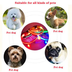 LED Adjustable Dog Collar Blinking Flashing Light Up Glow Pets Safety Waterproof Bargain Buzz