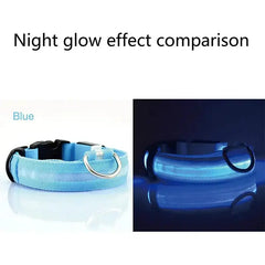 LED Adjustable Dog Collar Blinking Flashing Light Up Glow Pets Safety Waterproof Bargain Buzz