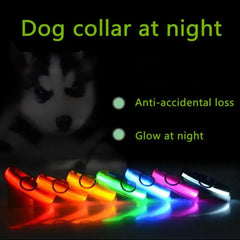 LED Adjustable Dog Collar Blinking Flashing Light Up Glow Pets Safety Waterproof Bargain Buzz