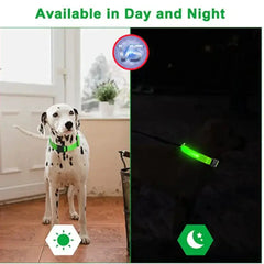 LED Adjustable Dog Collar Blinking Flashing Light Up Glow Pets Safety Waterproof Bargain Buzz