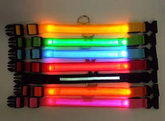 LED Adjustable Dog Collar Blinking Flashing Light Up Glow Pets Safety Waterproof Bargain Buzz