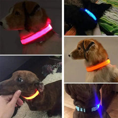 LED Adjustable Dog Collar Blinking Flashing Light Up Glow Pets Safety Waterproof Bargain Buzz