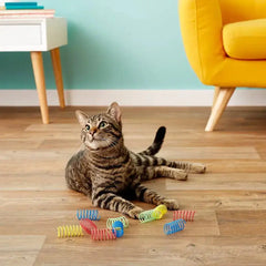 PRIMI PETS™ - Spring Cat Toy Bargain Buzz