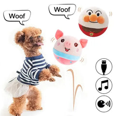 PetPalz: Interactive Talking Ball For Pets Bargain Buzz