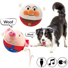 PetPalz: Interactive Talking Ball For Pets Bargain Buzz