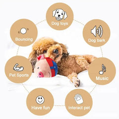 PetPalz: Interactive Talking Ball For Pets Bargain Buzz