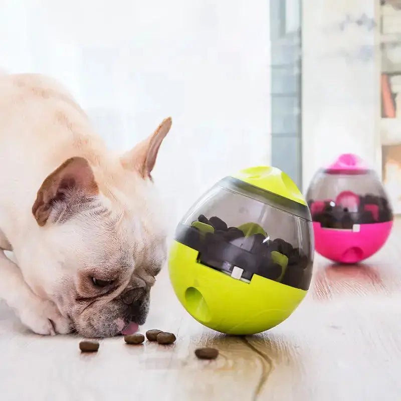 Pets IQ Treat Toys Bargain Buzz