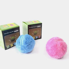 Pets Magic Roller Ball Toy Bargain Buzz