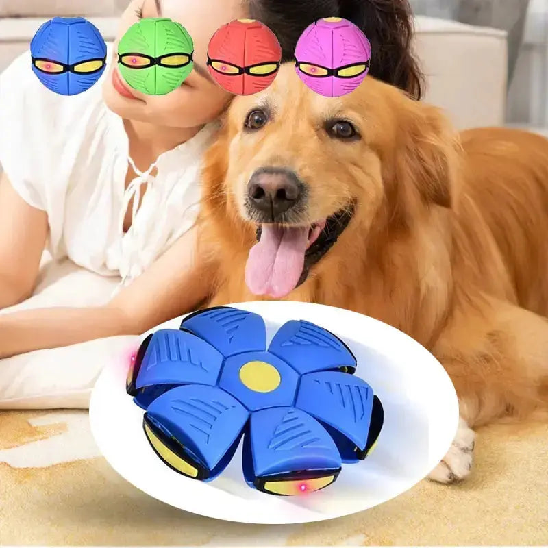 Pets Magic UFO Ball Bargain Buzz