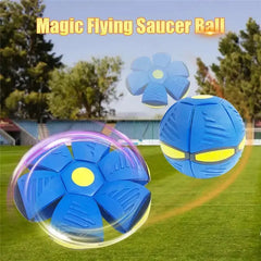 Pets Magic UFO Ball Bargain Buzz