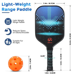 Pickleball Paddle Set Bargain Buzz