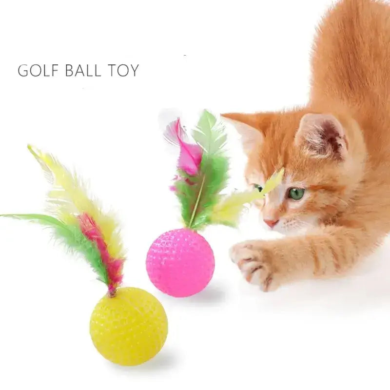 Plastic Golf Ball with Feather Cat Toy Bargain Buzz